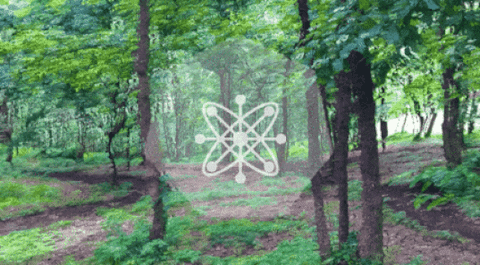 SpaceGathering giphyupload GIF