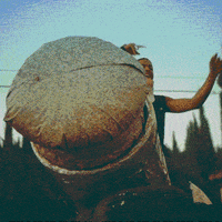 stagenicoandvinz GIF by ARtestpage