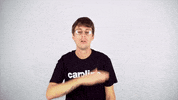astralwerks reaction whatever albin lee meldau GIF