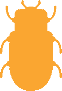 voabesouro besouro voa besouro agencia besouro besourodefomentosocial Sticker