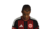 Look Up Eintracht Frankfurt Sticker by Bundesliga