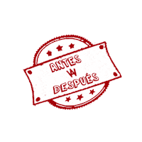 Car Wash Cars Sticker by Alvato Luxury Detailing