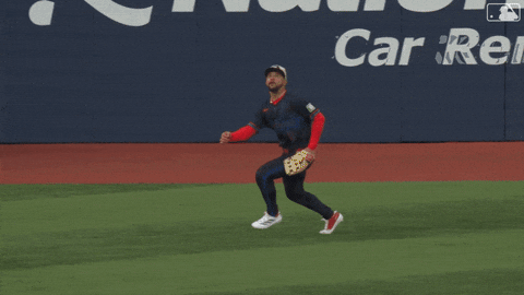 Blue Jays Baseball GIF by Toronto Blue Jays
