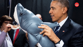 Barack Obama Politics GIF by BuzzFeed