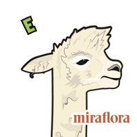 Alpaca Explorer Sticker by Miraflora.co