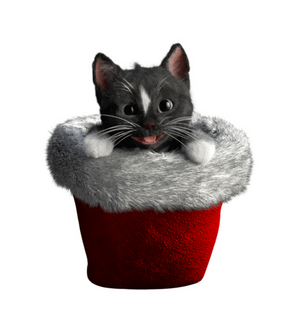 Merry Christmas Fun Sticker by Felini Rocks
