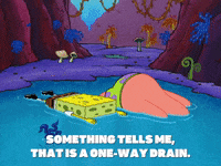 season 8 spongebob's runaway roadtrip: a squarepants family vacation GIF by SpongeBob SquarePants