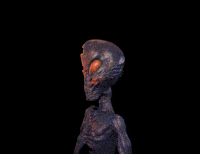 Oh My Gosh What GIF by The Horror Section