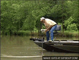 fishing GIF