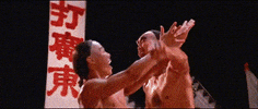 martial arts master killer 3 GIF by Shaw Brothers