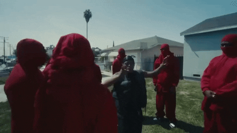 giphy.gif