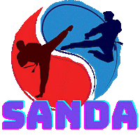 Sora Sticker by Champion Training Sanda Martial Art