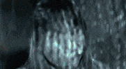 slingshot dakota paycheck GIF by Topshelf Records
