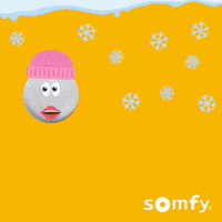 Snow Winter GIF by Somfy