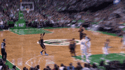 GIF by NBA