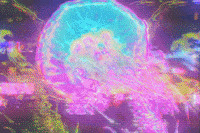 Loop Glow GIF