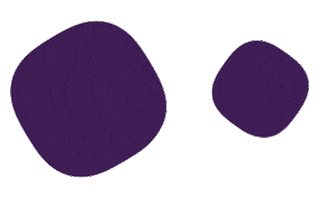 Did You Know Sticker by Fun Idiomas