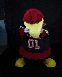 Dance Celebrate GIF by University of South Carolina