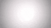 NovaSound music nova sound novasound full sail GIF