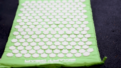 felixlampe giphygifmaker GIF