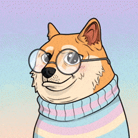 Happy Shiba Inu GIF by Doge Pound