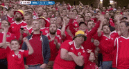 euro 2016 GIF by Sporza