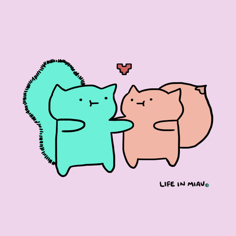 lifeinmiau love amor cats hug GIF