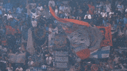 GIF by Olympique de Marseille
