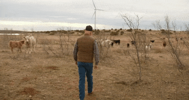 BantamCommunications texas farmer windmill windmills GIF
