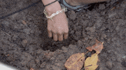 scared fox tv GIF by Kicking & Screaming