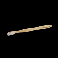 teethtab bamboo toothbrush oral care oral health GIF