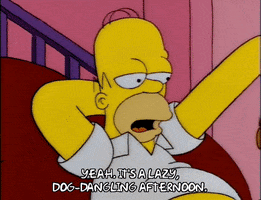 homer simpson GIF