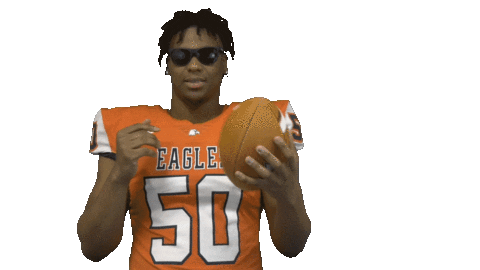 Football College Sticker by Carson-Newman Athletics