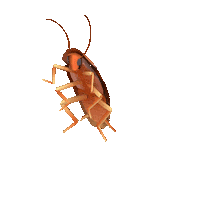 3D Rotate Sticker by jjjjjohn