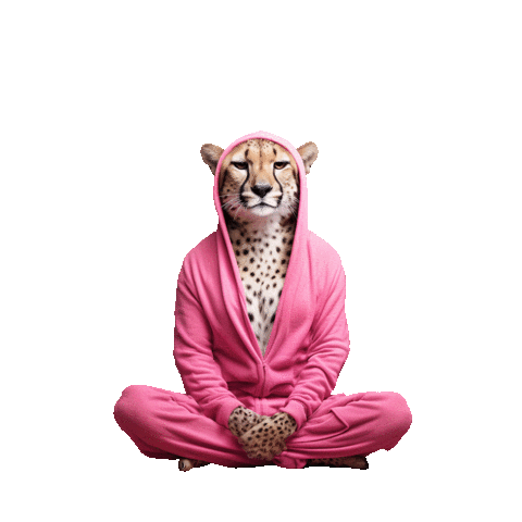 Superchillfoundation giphyupload cheetah superpowers superchill Sticker