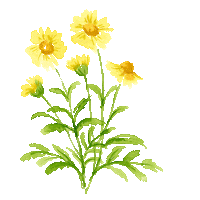 Happy Flower Sticker by compo