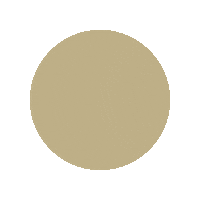 Century21 C21 Sticker by Century21Australia