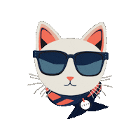 irisvisualgroup cat fashion cool summer Sticker