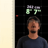 8Ft GIF