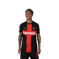 Bayer 04 Applause Sticker by Bayer 04 Leverkusen