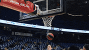 Happy Joy GIF by CSKA Moscow