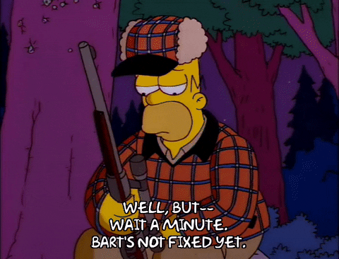 homer simpson GIF