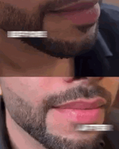 DarteGusto giphyupload GIF