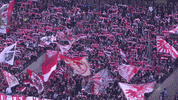 Football Soccer GIF by 1. FC Köln