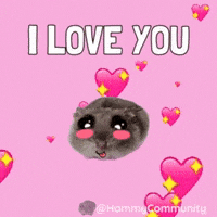 I Love You GIF by Sad Hamster