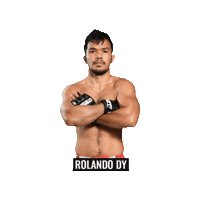 Mixed Martial Arts Mma Sticker by BRAVE Combat Federation
