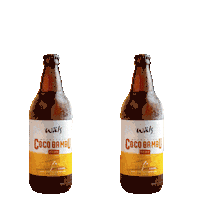Beer Cheers Sticker by Coco Bambu Oficial