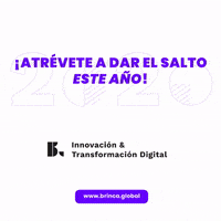 Brincaglobal  GIF
