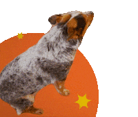 How You Doin Jelly Sticker