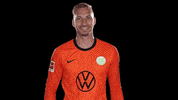Football Hello GIF by VfL Wolfsburg